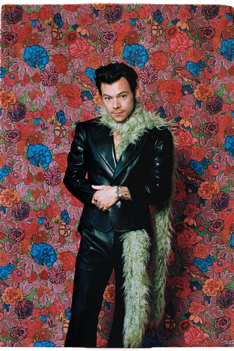 boa gucci harry styles|Harry Styles boa energy.